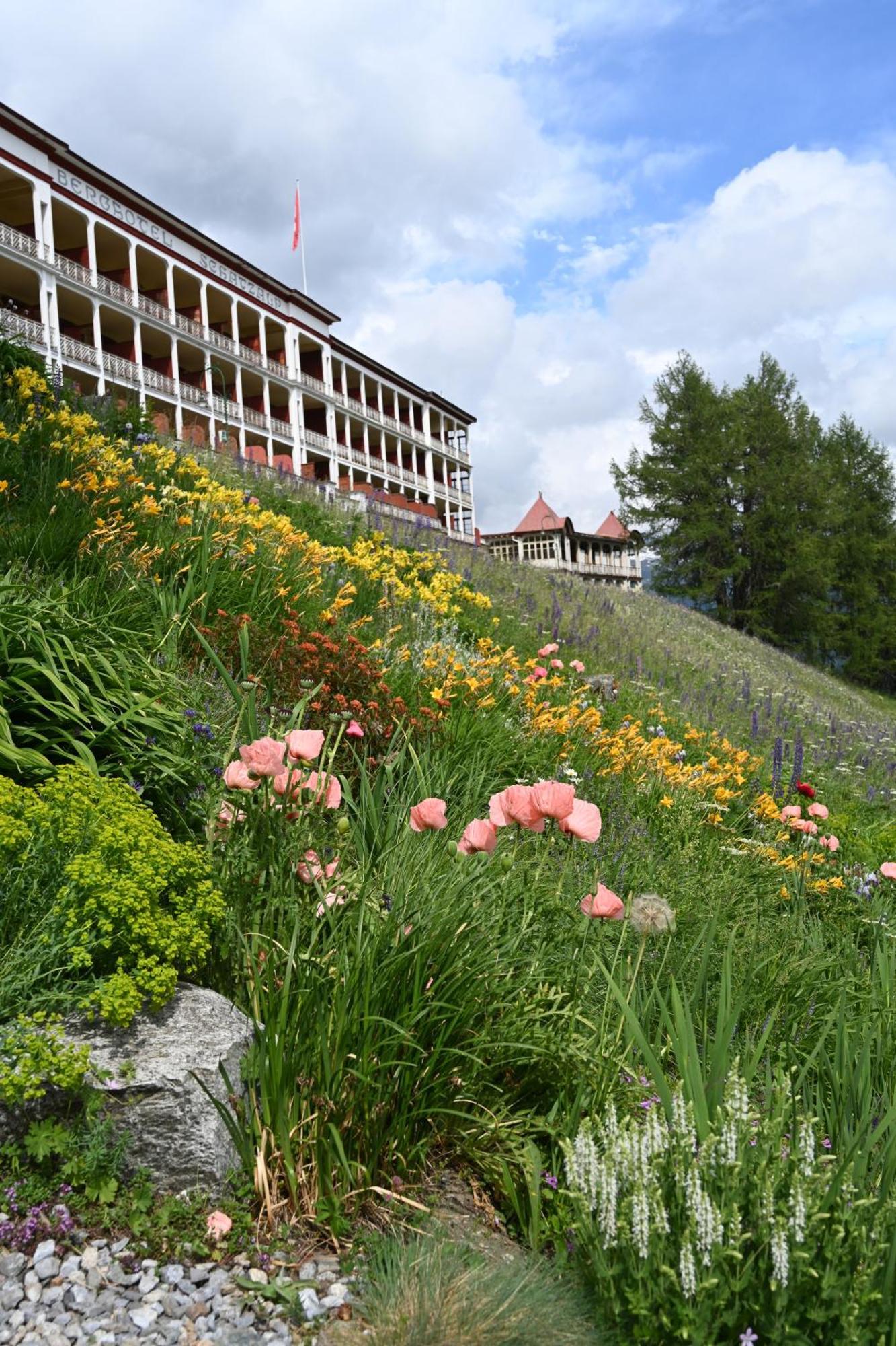 Schatzalp Hotel Davos Eksteriør billede